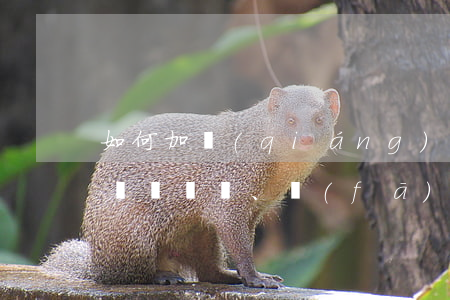 如何加強(qiáng)對(duì)支票、發(fā)票和收據(jù)的保管